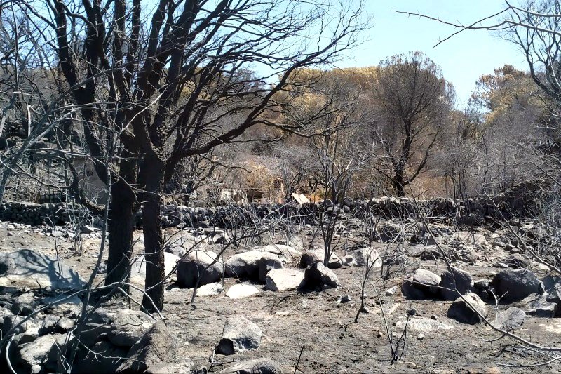 Los estragos causados por los incendios en Piedralaves (Ávila).