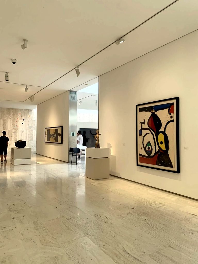 Museo de Arte Contemporáneo de Alicante.