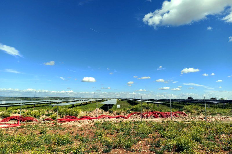 Parte de uno de los módulos del megaparque fotovoltaico de Almadrones (Guadalajara).
