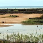 Terrenos que ocupará la ampliación de la tercera pista de El Prat.