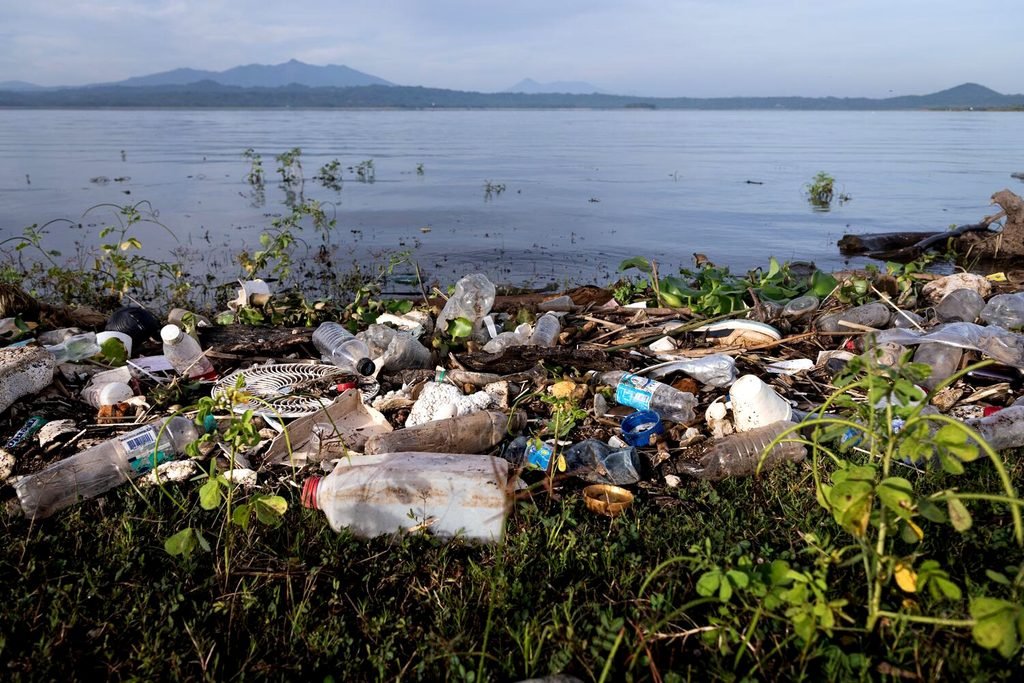 Basura acumulada en el embalse Cerrón Grande. EntreFronteras.