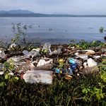 Basura acumulada en el embalse Cerrón Grande. EntreFronteras.