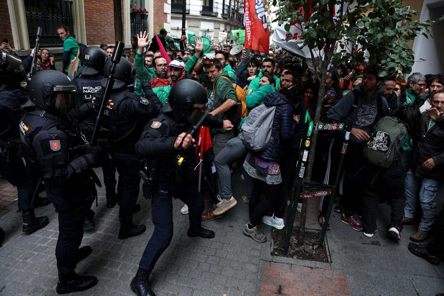 Todos los palos de octubre